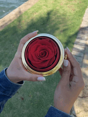 Caja del Amor Infinito 💖 – Rosa Eterna Natural + Collar de Corazones